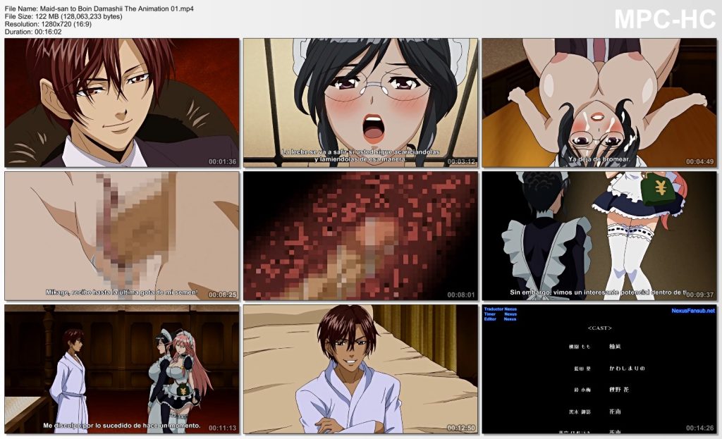 Maid-san to Boin Damashii