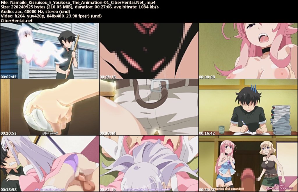 Namaiki: Kissuisou e Youkoso! - The Animation (1/1) Sub. Español Namaiki: Kissuisou e Youkoso! - The Animation